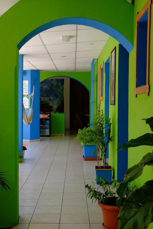 Hostal Casa Verde ซานตา อานา ภายนอก รูปภาพ